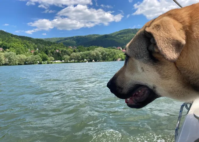 Glampspace - Szlak Beskidzki * Międzybrodzie Bialskie