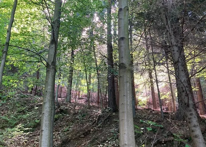 Glampspace - Szlak Beskidzki